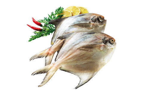 Raw Pomfret Whole – Frozen - Antibiotics And Hormone Free – No Artificial Preservatives, Zero Trans Fat & Sea Caught - Cambay Tiger – 500gm